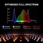 Optimized Full Spectrum Growth Light For Indoor Pants