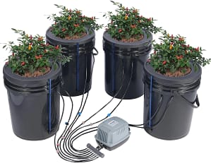 a group of black containers with plants in them