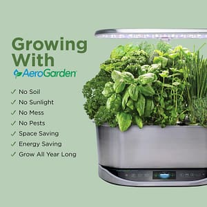a plant in a container
